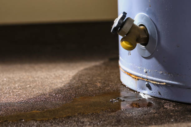 Best 24/7 water damage repair  in Clermont, IN