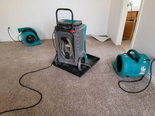 Best Water damage repair service  in Clermont, IN