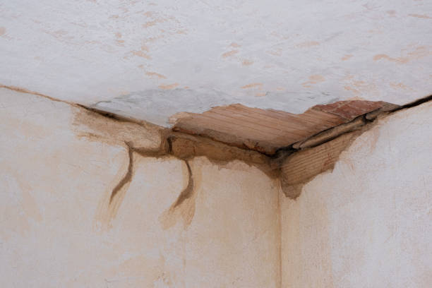 Best Flood damage cleanup  in Clermont, IN