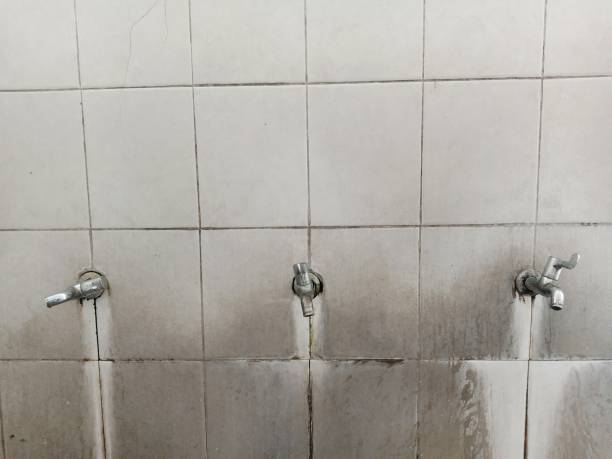 Best Carpet water damage restoration  in Clermont, IN