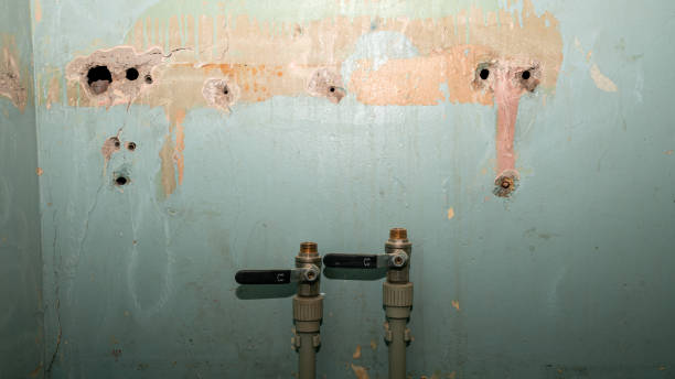 Best Emergency water extraction  in Clermont, IN