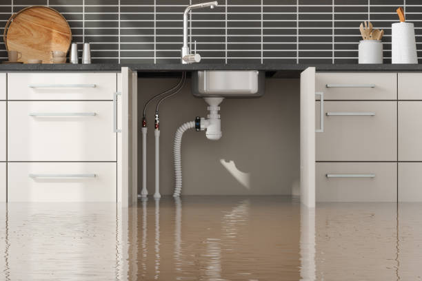 Best Basement water damage restoration  in Clermont, IN
