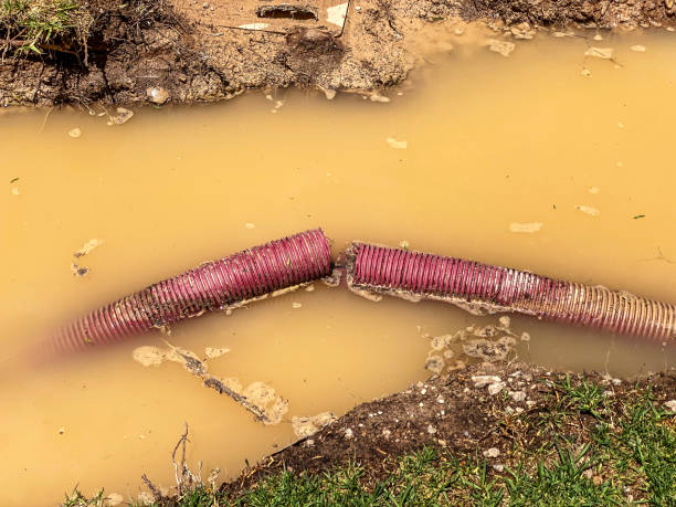 Best Water damage restoration services  in Clermont, IN